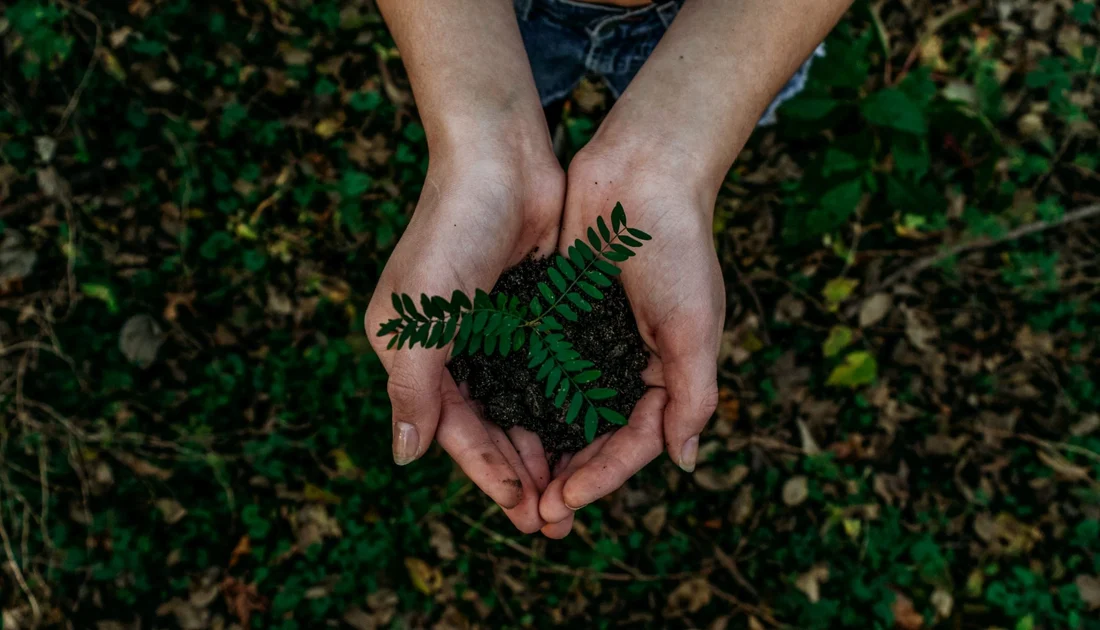Sustainable Cannabis Packaging And The Challenges Of Re-Use