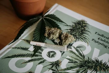 Looking back at the origins of 420