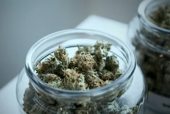 A look back at four years of recreational marijuana in Massachusetts